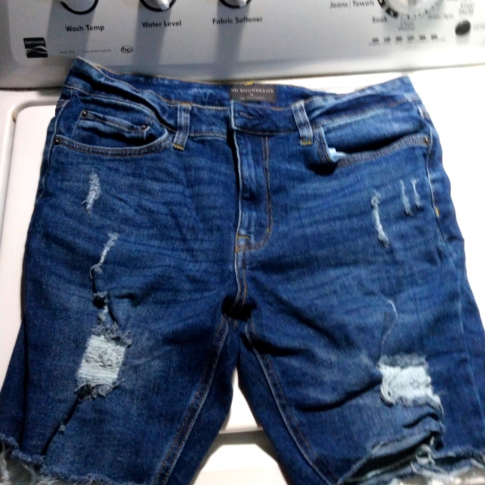 Vintage Jorts
